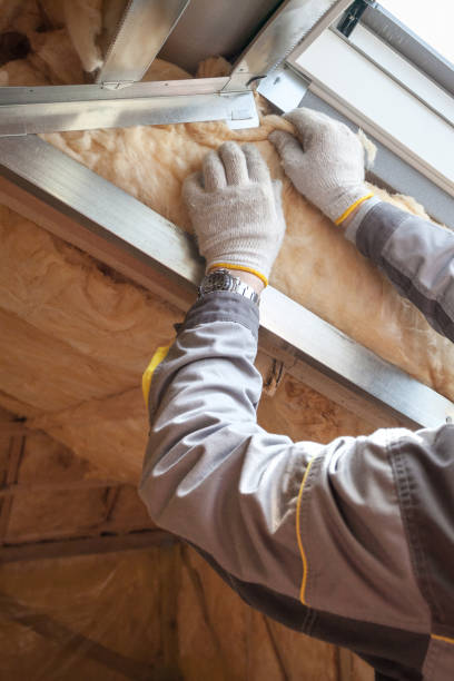 Best Residential Insulation in Waimalu, HI