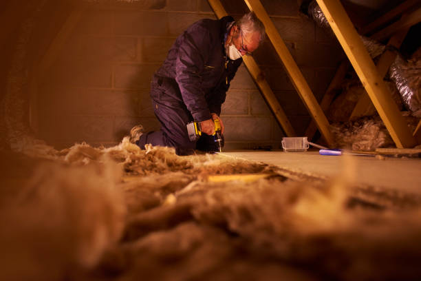 Best Insulation Installation Services in Waimalu, HI